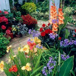 Jigsaw puzzle: Flowers on the terrace