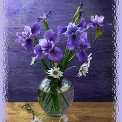 Jigsaw puzzle: Irises and chamomile