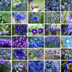 Jigsaw puzzle: Blue collage