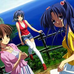 Jigsaw puzzle: Clannad