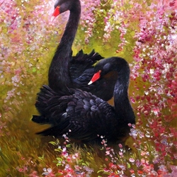 Jigsaw puzzle: A pair of black swans