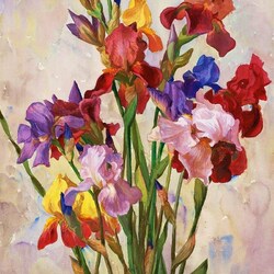 Jigsaw puzzle: Multicolored irises
