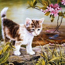 Jigsaw puzzle: Kitten and dragonfly