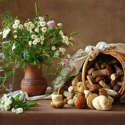 Jigsaw puzzle: With mushrooms