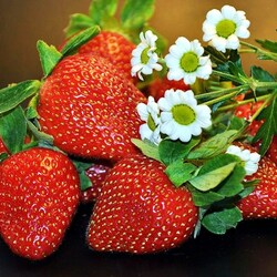 Jigsaw puzzle: Berries and flowers