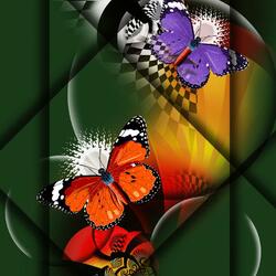 Jigsaw puzzle: Butterflies