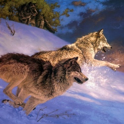 Jigsaw puzzle: Wolf hunt