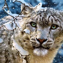 Jigsaw puzzle: Snow Leopard