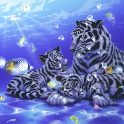 Jigsaw puzzle: Underwater family