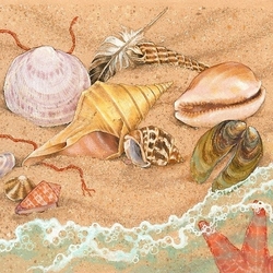 Jigsaw puzzle: Seashells in the sand