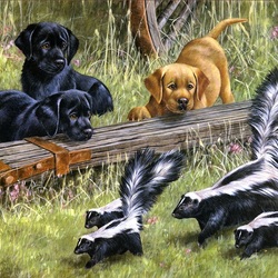 Jigsaw puzzle: Puppies and skunks
