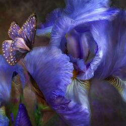 Jigsaw puzzle: Lovely irises and butterfly