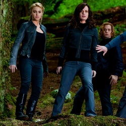 Jigsaw puzzle: Cullens