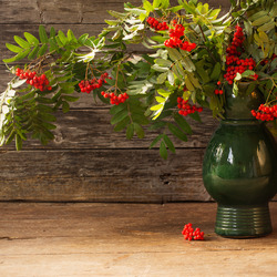 Jigsaw puzzle: Still life with a bouquet of rowan