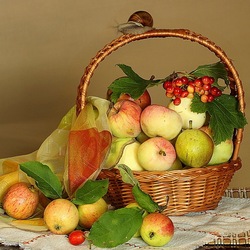 Jigsaw puzzle: Apples and snail