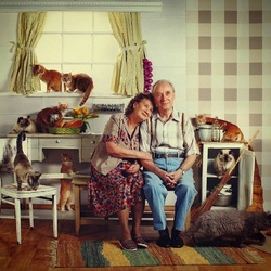 Jigsaw puzzle: Happy old age