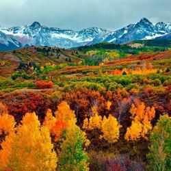 Jigsaw puzzle: Autumn in Colorado