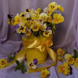 Jigsaw puzzle: Yellow pansies