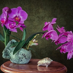 Jigsaw puzzle: Still life with orchids