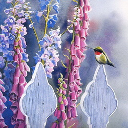 Jigsaw puzzle: Hummingbirds and foxgloves