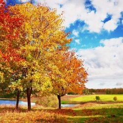 Jigsaw puzzle: Indian summer