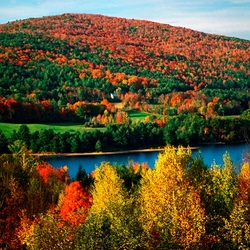 Jigsaw puzzle: Autumn landscapes