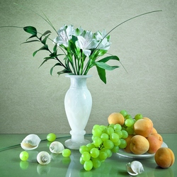 Jigsaw puzzle: Fruits, flowers and shells