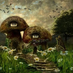 Jigsaw puzzle: Mushrooms ('Shroom With A View)