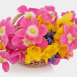 Jigsaw puzzle: Bouquet Spring