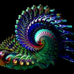 Jigsaw puzzle: Fractal shell