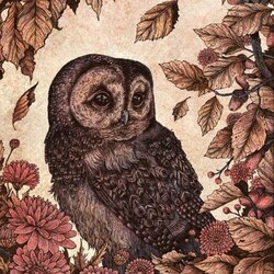 Jigsaw puzzle: Owl song