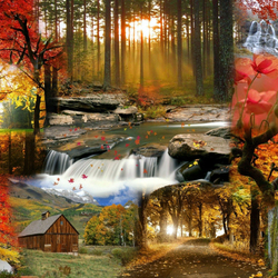 Jigsaw puzzle: Nature in autumn