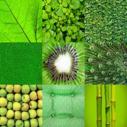 Jigsaw puzzle: Green collage