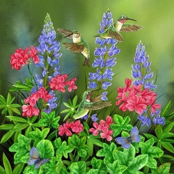 Jigsaw puzzle: Three hummingbirds