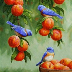 Jigsaw puzzle: Apples and birds