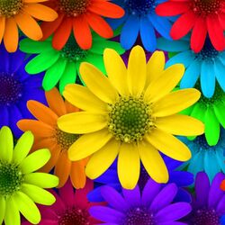 Jigsaw puzzle: Flowers