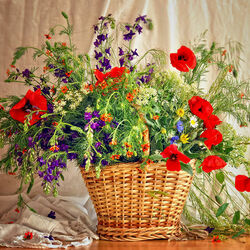 Jigsaw puzzle: Summer in the basket