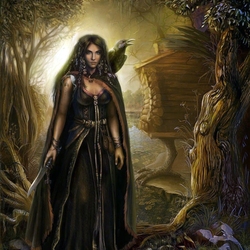 Jigsaw puzzle: Forest sorceress