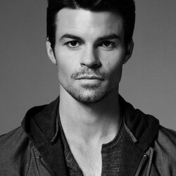 Jigsaw puzzle: Daniel Gillies