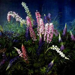 Jigsaw puzzle: Evening lupins