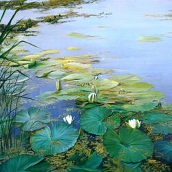 Jigsaw puzzle: White water lilies