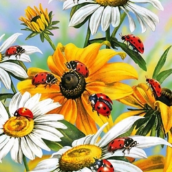 Jigsaw puzzle: Ladybugs and flowers
