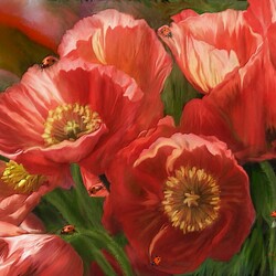 Jigsaw puzzle: Red poppies