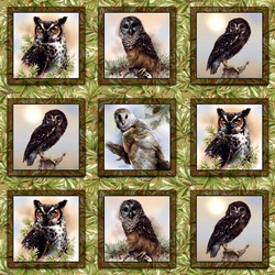 Jigsaw puzzle: Owls