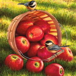 Jigsaw puzzle: Harvest of red apples