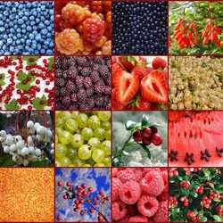 Jigsaw puzzle: Berry