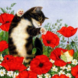 Jigsaw puzzle: Poppies and cat
