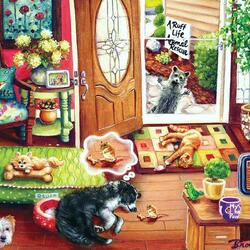Jigsaw puzzle: Let me go to the shelter!