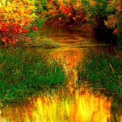 Jigsaw puzzle: Colorful strands of autumn