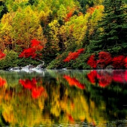 Jigsaw puzzle: Fire of autumn